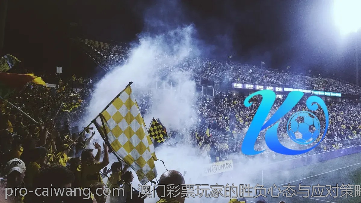多赢技巧：如何在澳门彩票中增加中奖机会