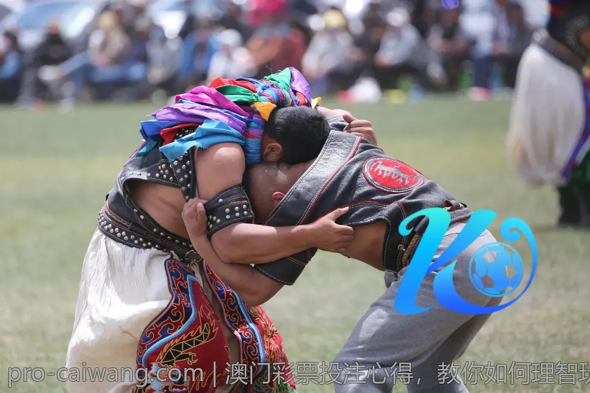 竞猜彩票的魅力：深度解析玩法与策略