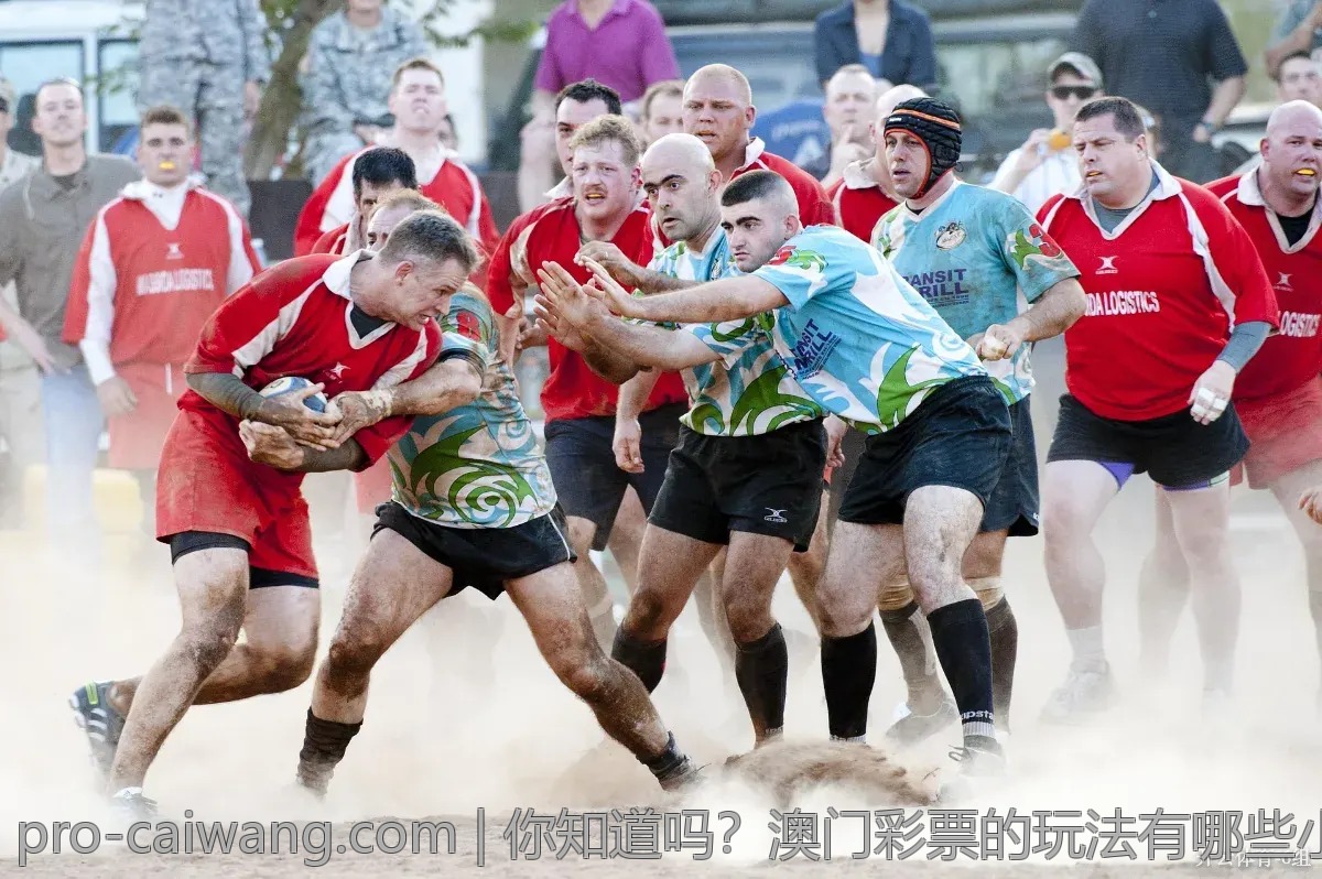 你知道吗？澳门彩票的玩法有哪些小窍门
