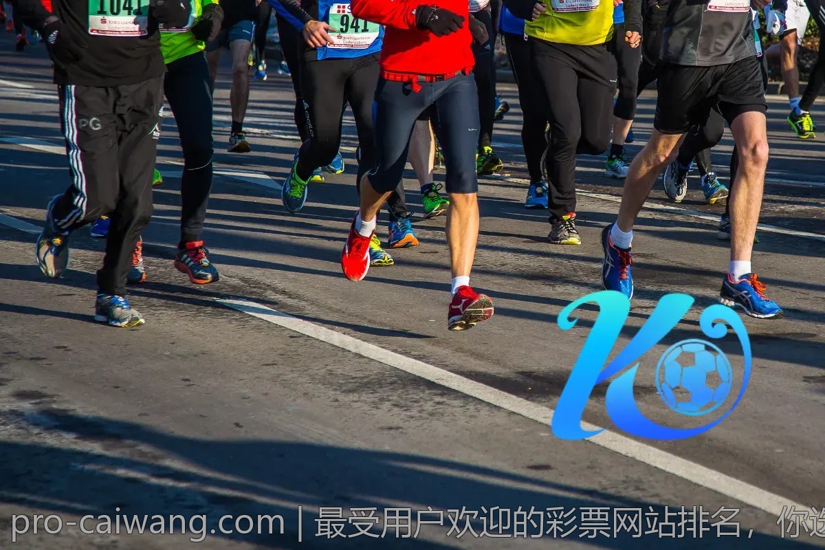 最受用户欢迎的彩票网站排名，你选对了吗？