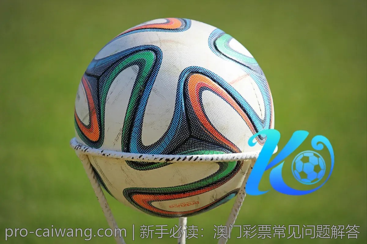 新手必读：澳门彩票常见问题解答